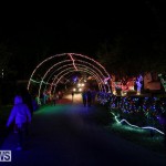 Botanical Gardens Christmas Lights Display Bermuda, December 23 2016 (28)