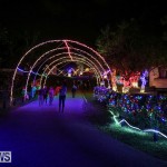 Botanical Gardens Christmas Lights Display Bermuda, December 23 2016 (29)