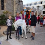 Cathedral Pony Rides - Fun Castle Dec 23 (12)
