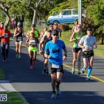 Bermuda Race Weekend 10K, January 14 2017-148