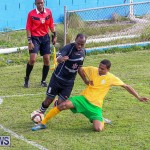 Football Devonshire Cougars vs PHC Bermuda, January 1 2017-65