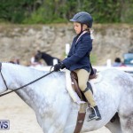 RES Horse Show Bermuda, January 21 2017-18