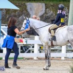 RES Horse Show Bermuda, January 21 2017-26