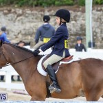 RES Horse Show Bermuda, January 21 2017-37