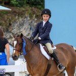 RES Horse Show Bermuda, January 21 2017-42