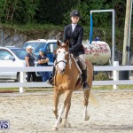 RES Horse Show Bermuda, January 21 2017-48