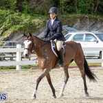 RES Horse Show Bermuda, January 21 2017-49