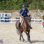 RES Horse Show Bermuda, January 21 2017-66