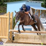 RES Horse Show Bermuda, January 21 2017-75