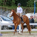 RES Horse Show Bermuda, January 21 2017-84