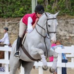 RES Horse Show Bermuda, January 21 2017-93
