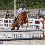 RES Horse Show Bermuda, January 21 2017-95
