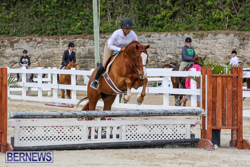 RES-Horse-Show-Bermuda-January-21-2017-95