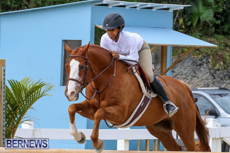 RES-Horse-Show-Bermuda-January-21-2017-97