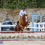RES Horse Show Bermuda, January 21 2017-98