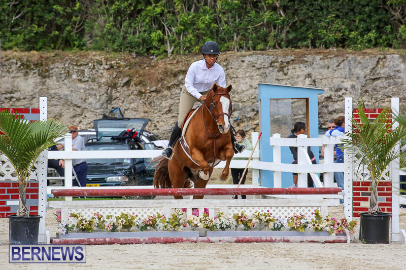RES-Horse-Show-Bermuda-January-21-2017-98