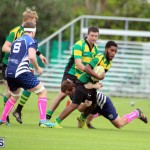 Rugby Bermuda Jan 21 2017 (1)