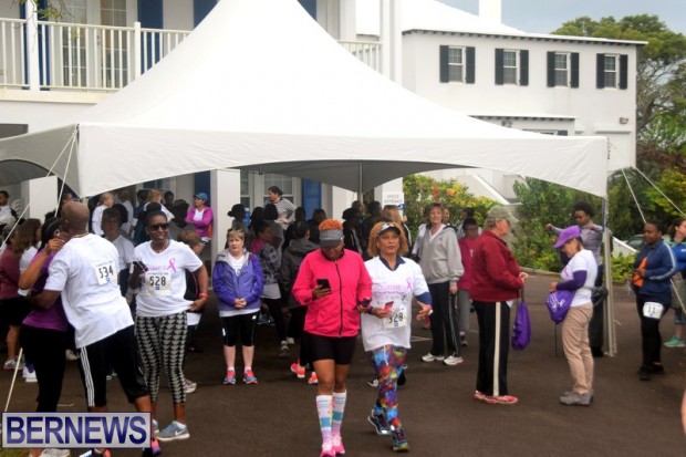 2017 Bermuda PALS cancer walk feb (1)