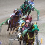 Harness Pony Final Bermuda Feb 18 2017 (15)