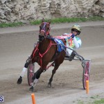 Harness Pony Final Bermuda Feb 18 2017 (5)