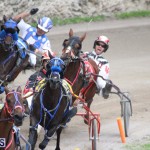 Harness Pony Final Bermuda Feb 18 2017 (7)