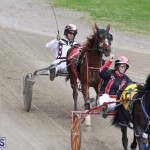 Harness Pony Final Bermuda Feb 18 2017 (8)