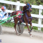 Harness Pony Final Bermuda Feb 18 2017 (9)