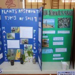Purvis Primary School Science Fair Bermuda, February 22 2017 (10)