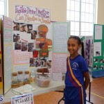 Purvis Primary School Science Fair Bermuda, February 22 2017 (16)