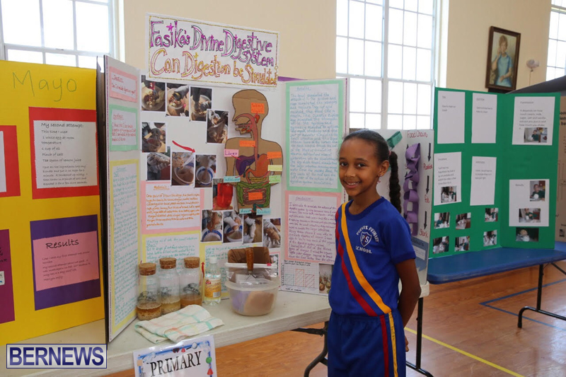 Purvis-Primary-School-Science-Fair-Bermuda-February-22-2017-16