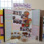 Purvis Primary School Science Fair Bermuda, February 22 2017 (17)