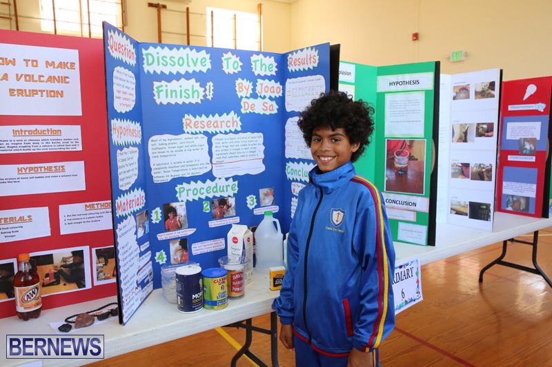 Purvis-Primary-School-Science-Fair-Bermuda-February-22-2017-22