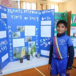 Purvis Primary School Science Fair Bermuda, February 22 2017 (23)