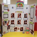 Purvis Primary School Science Fair Bermuda, February 22 2017 (25)