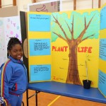 Purvis Primary School Science Fair Bermuda, February 22 2017 (26)