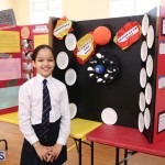 Purvis Primary School Science Fair Bermuda, February 22 2017 (28)