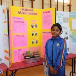 Purvis Primary School Science Fair Bermuda, February 22 2017 (36)