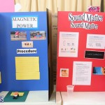 Purvis Primary School Science Fair Bermuda, February 22 2017 (45)