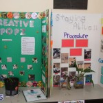 Purvis Primary School Science Fair Bermuda, February 22 2017 (46)