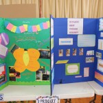 Purvis Primary School Science Fair Bermuda, February 22 2017 (48)