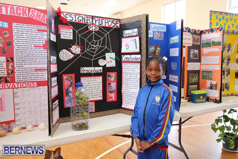 Purvis-Primary-School-Science-Fair-Bermuda-February-22-2017-59