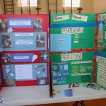 Purvis Primary School Science Fair Bermuda, February 22 2017 (6)