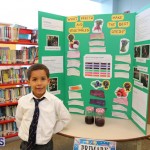 Purvis Primary School Science Fair Bermuda, February 22 2017 (66)