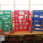 Purvis Primary School Science Fair Bermuda, February 22 2017 (69)