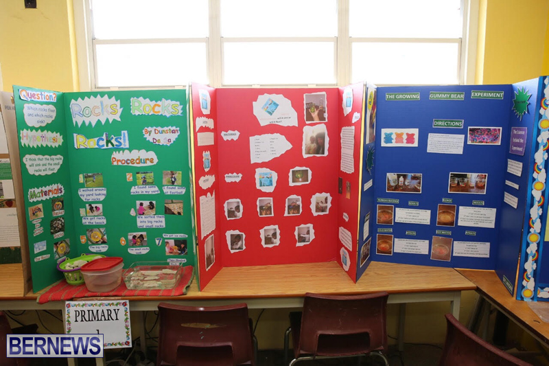 Purvis-Primary-School-Science-Fair-Bermuda-February-22-2017-69