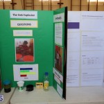 Purvis Primary School Science Fair Bermuda, February 22 2017 (7)