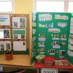 Purvis Primary School Science Fair Bermuda, February 22 2017 (71)