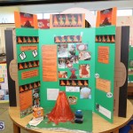 Purvis Primary School Science Fair Bermuda, February 22 2017 (77)
