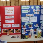 Purvis Primary School Science Fair Bermuda, February 22 2017 (8)