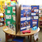 Purvis Primary School Science Fair Bermuda, February 22 2017 (80)
